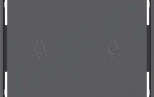 BERKER 81181226 Tasten für Tastsensormodul Serie Q 1-fach, beleuchtet | anthrazit matt