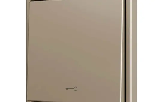 ZENNIO ZS701PB1KC Einfachtaster Soft ZS70 für 1 Binäreingang, Schlüssel | champagner