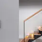 morepic-2