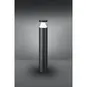 morepic-2