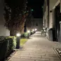 morepic-2