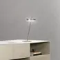morepic-2