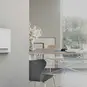 morepic-3