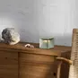 morepic-3