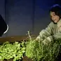morepic-3