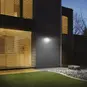 morepic-3