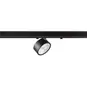 morepic-3
