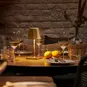 morepic-3