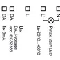 morepic-4