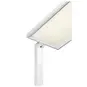 morepic-4
