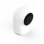 morepic-6